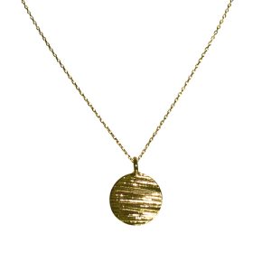 Verguld Gouden Ketting Bedel Geborsteld Muntje Laradesign
